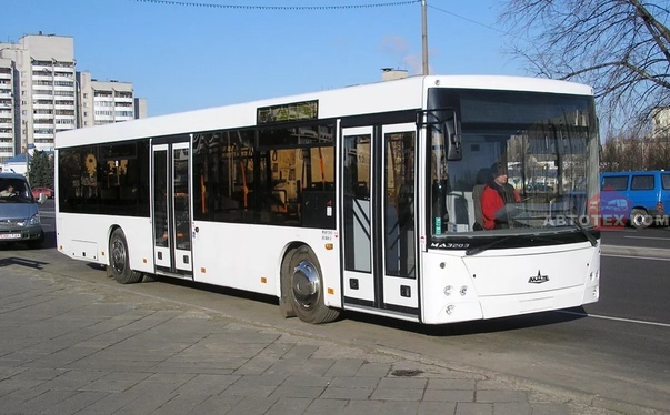 МАЗ 203116, автобус МАЗ 203116